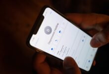 support hotline phone numbers