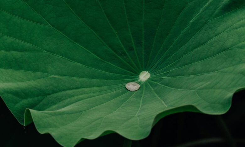 engagement retention growth signal