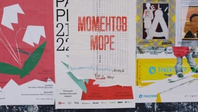 momentum s digital growth signal