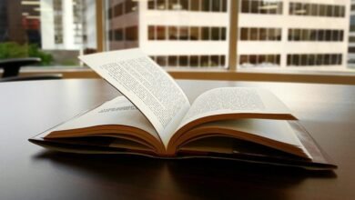 revenue growth strategy outlined