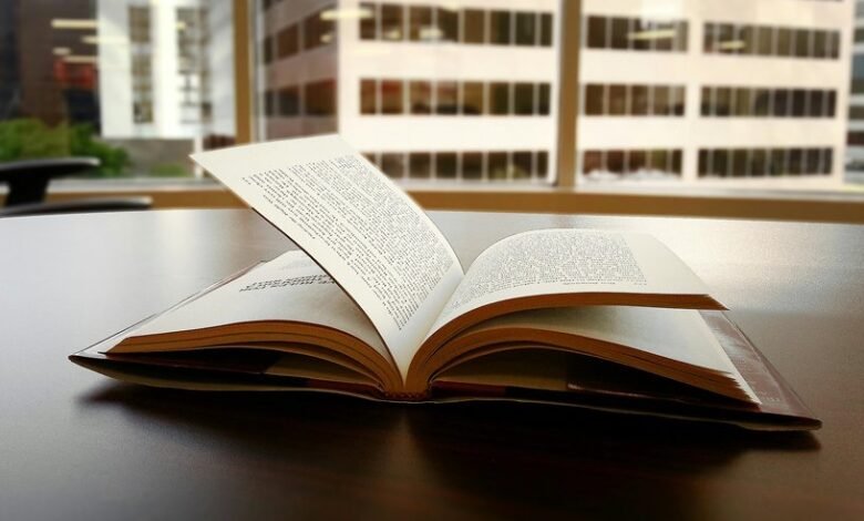 revenue growth strategy outlined