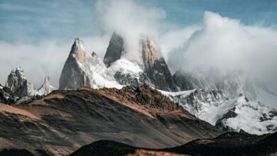 roi focused conversion strategies