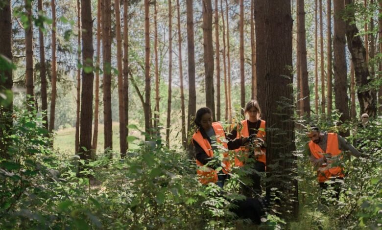 search expansion visibility strategy