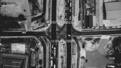 search for traffic growth