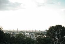 digital growth opportunities ahead