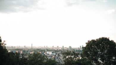 digital growth opportunities ahead