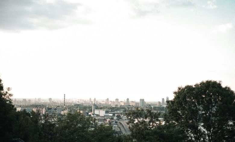 digital growth opportunities ahead