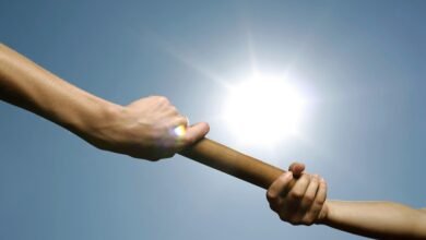 forward success framework established