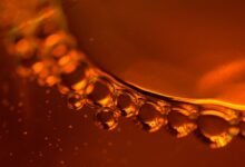 fusion wave digital radius