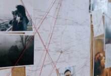 investigation findings and alerts