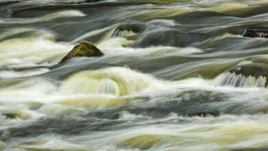 market momentum analysis report