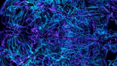 neural stellar pulse technology