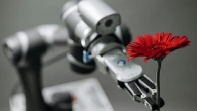 strategic development and adaptation