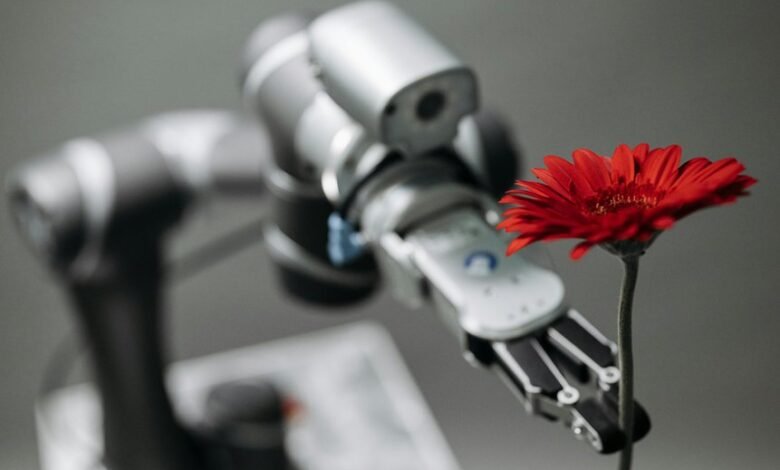 strategic development and adaptation