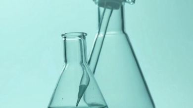 Three Lanes, One Molecule: What Actually Makes a Peptide Legal in 2026